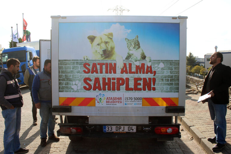 Köpek Nakil Aracı 397
