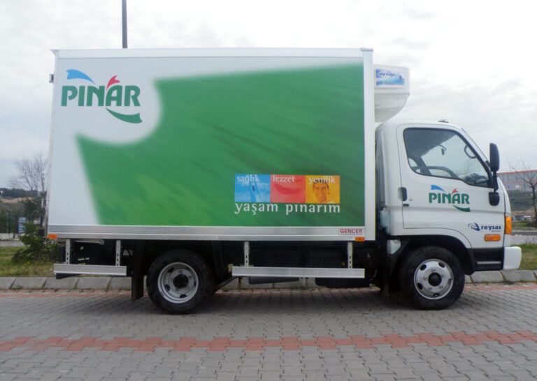 Pınar Hundai - 1125