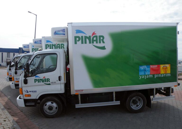Pınar Hundai - 1226