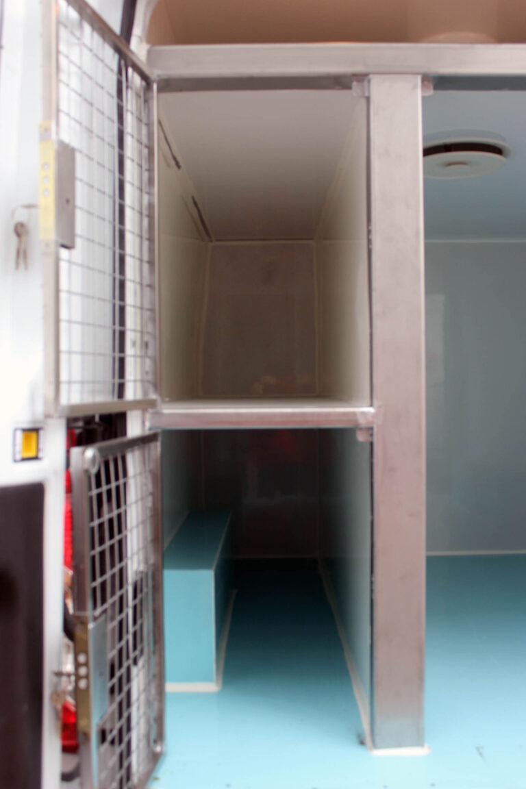Köpek Taşıma Ford Transit 15