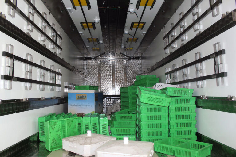 JENERATÖRLÜ CİVCİV KASASI